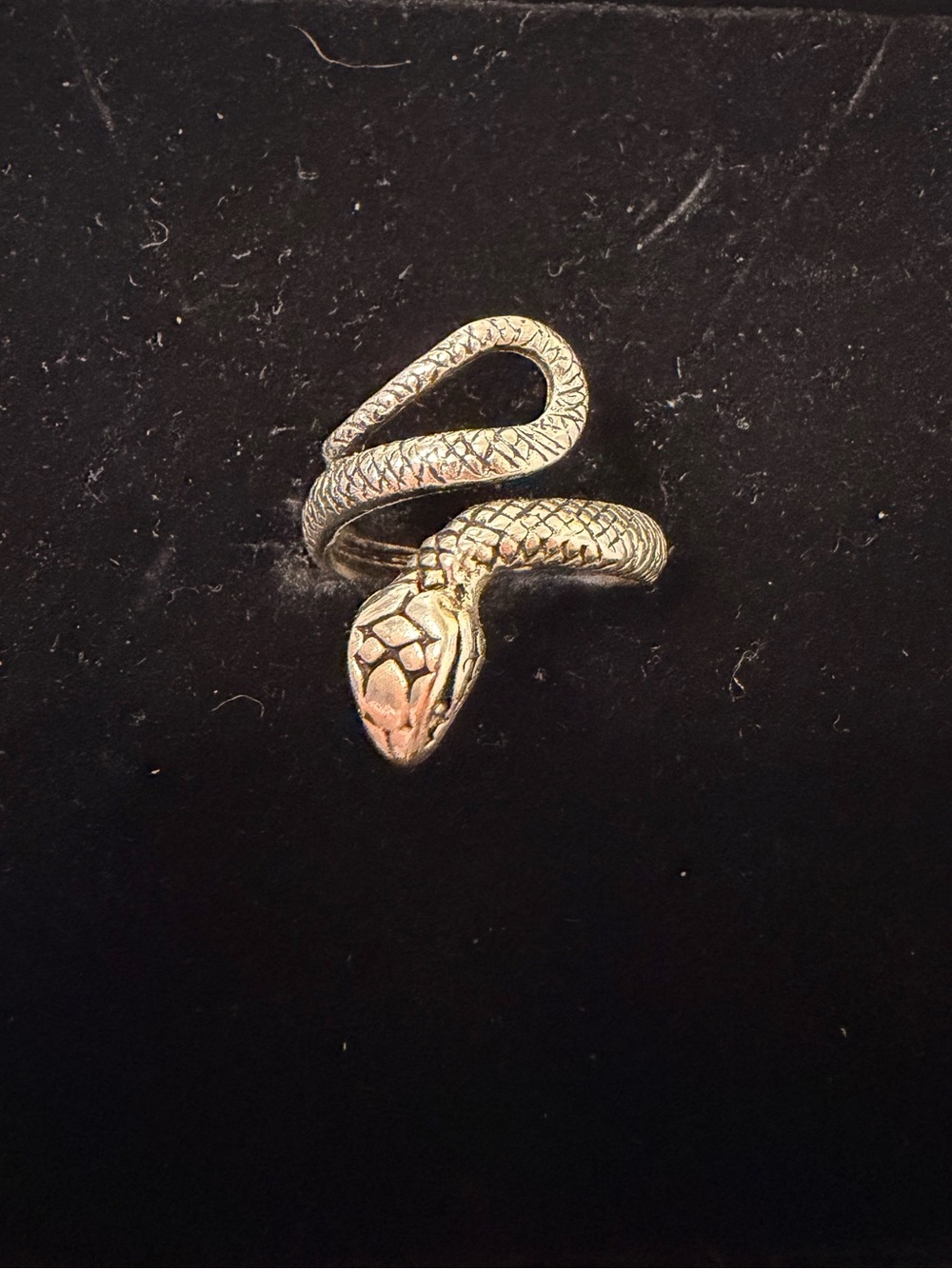 Men’s Stainless Steel Silver Snake-Shaped Reptile Ring. NWOT